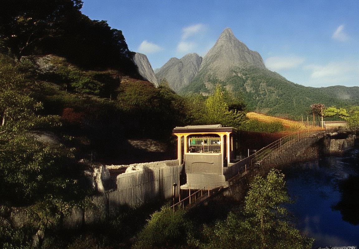 1998公牛爵士对决：杰克逊与斯隆教练策略智慧对决(图3)